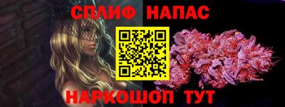 a pvp Гай
