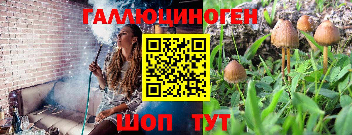 Галлюциногенные грибы мицелий  Вход с VPN  Галлюциногенные грибы MAGIC MUSHROOMS  Прокопьевск 