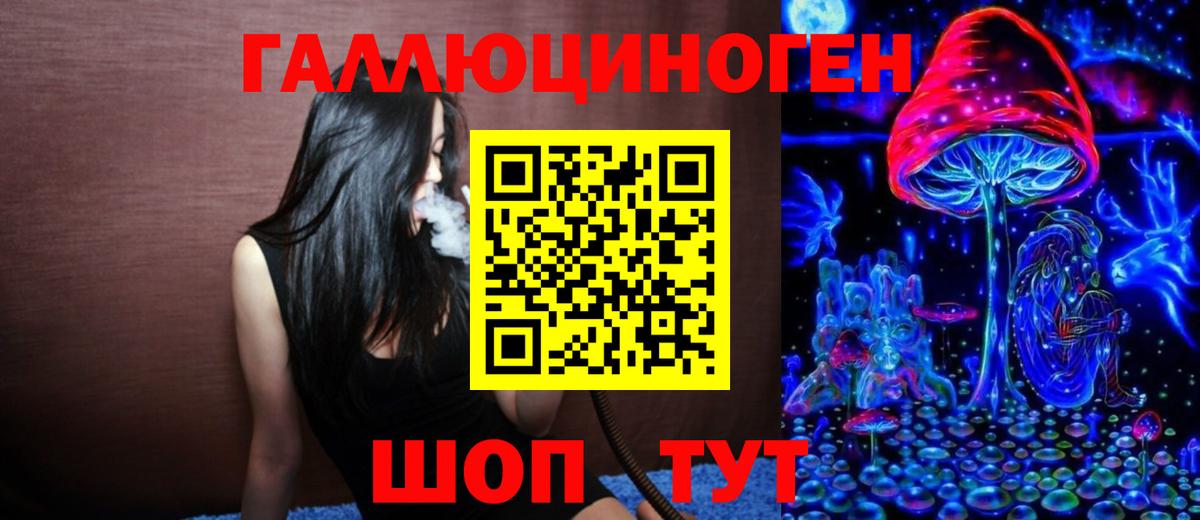 Псилоцибиновые грибы Psilocybe Прокопьевск