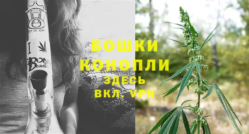 как найти наркотики  Прокопьевск  Конопля THC 21% 